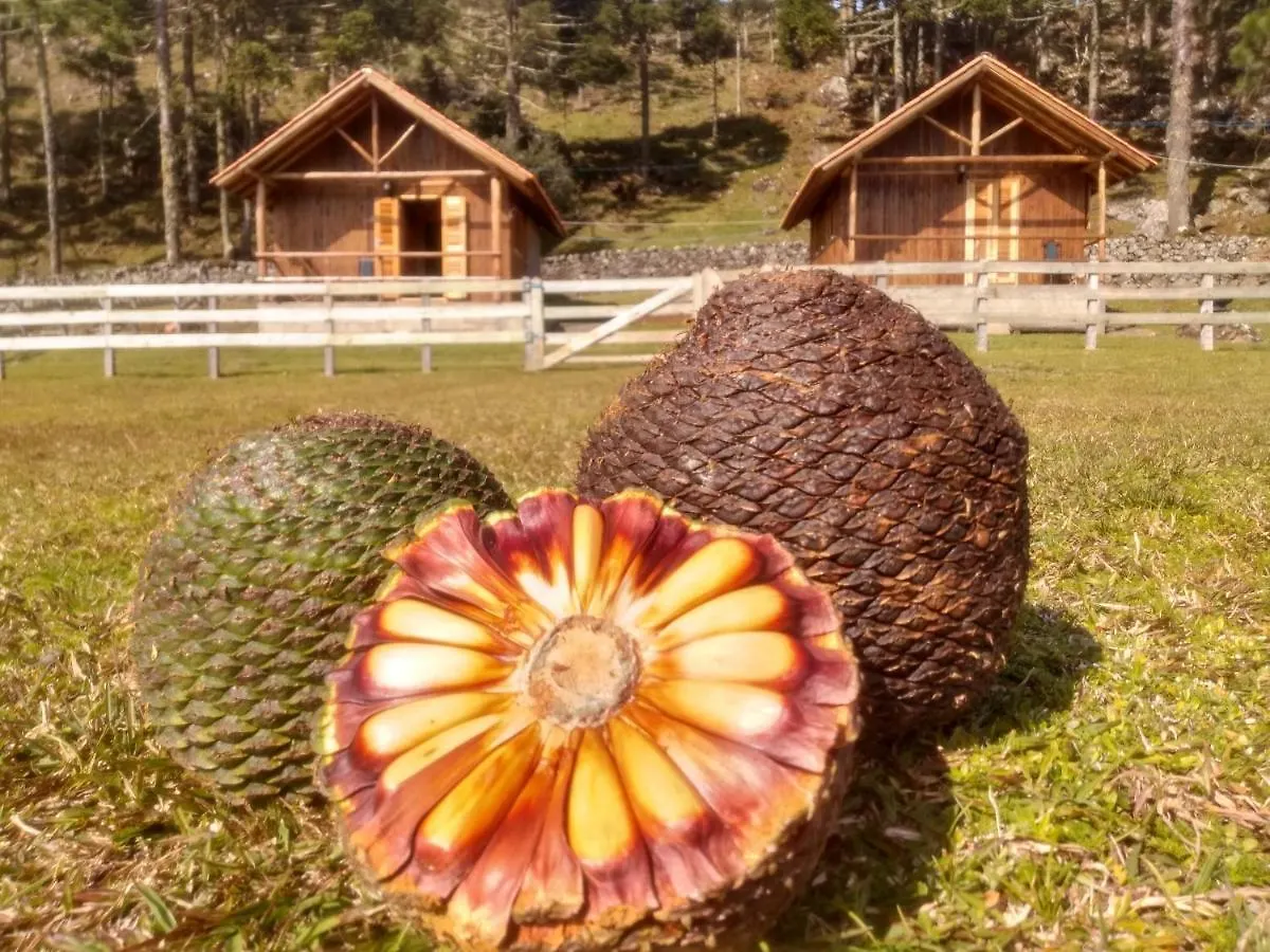Pousada Laranjeiras Ecoturismo & Passeios Бон-Жардин-да-Серра