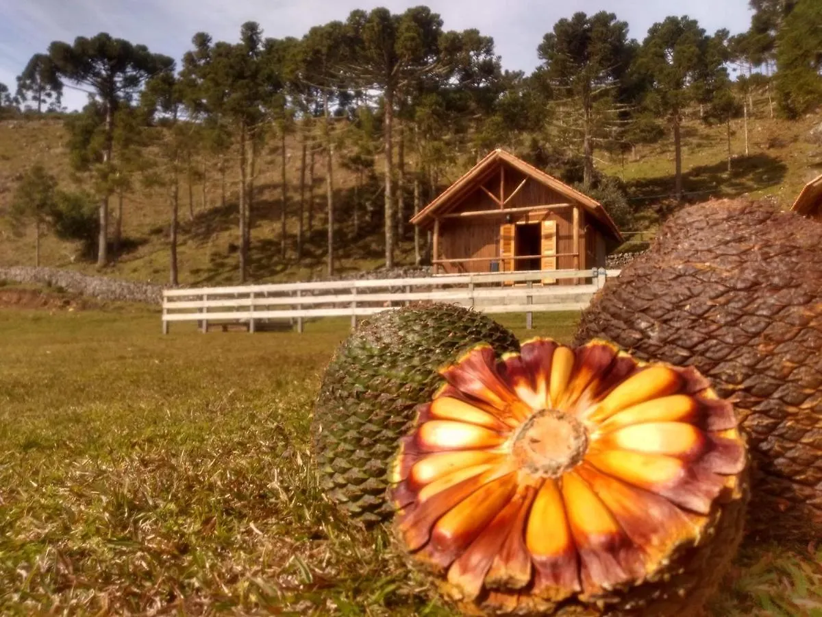 Inn Pousada Laranjeiras Ecoturismo & Passeios Bom Jardim da Serra Brazil